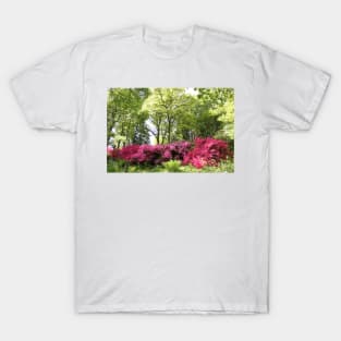 Colourful Woodland T-Shirt